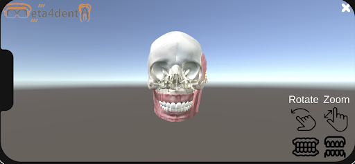 Meta4Denta_01 Screen 2