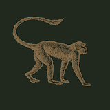 Mowgli Street Food icon