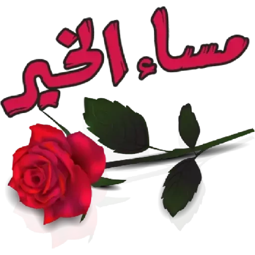 2022?جديد أجمل ملصقات صباح ومساء الخير?✔