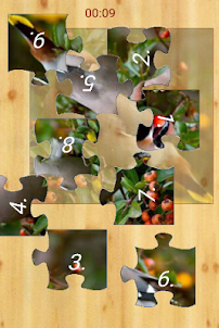 bird puzzle