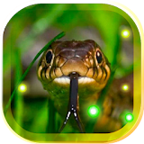 Snakes Voice icon
