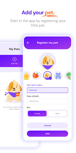 Pets Screen 2