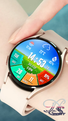 BigDigital WatchFace NSPORT173