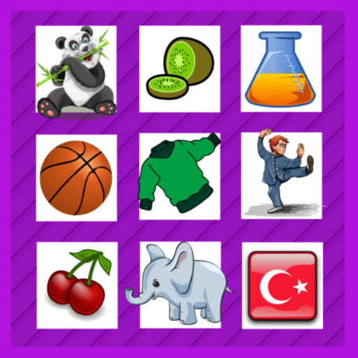 Puzzle Match logo