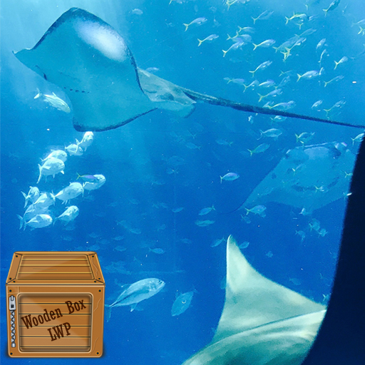 manta ray wallpaper logo