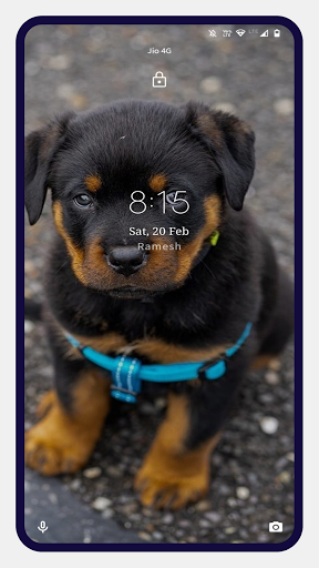 Android application Rottweiler Dog Wallpapers screenshort