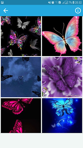 Butterfly Wallpapers HD