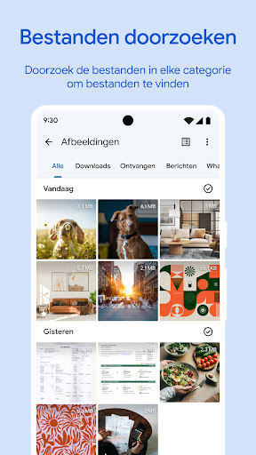 Files by Google
