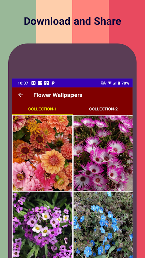 Nature Flower HD Wallpapers Screen 2