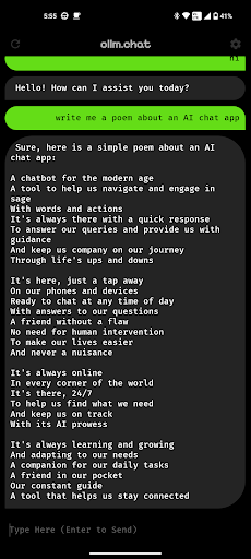 ollm.chat screenshot 9