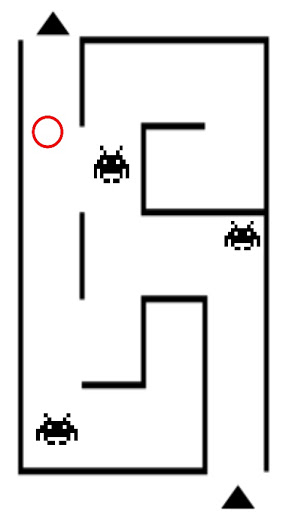 A maze that even monkeys can do