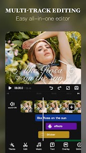 VivaVideo 3