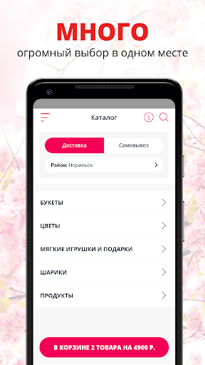 Таймыр-Цветы  Норильск