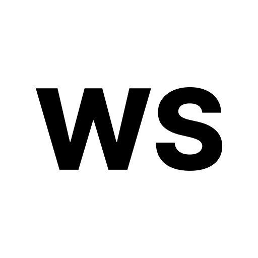WordSpin logo