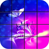 Shiny Butterfly Puzzle Games icon
