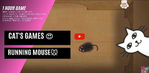 CAT PLAY GAMES - LET IT BUSY