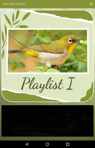 Suara Kicau Burung Pleci