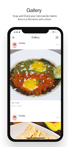Screenshot of Delicias De Centro America