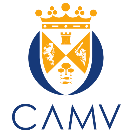 Camv logo
