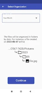 organize files