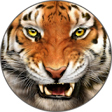 Tiger Sounds and Ringtone icon
