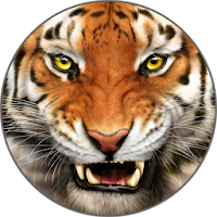 Tiger Звуки и мелодии