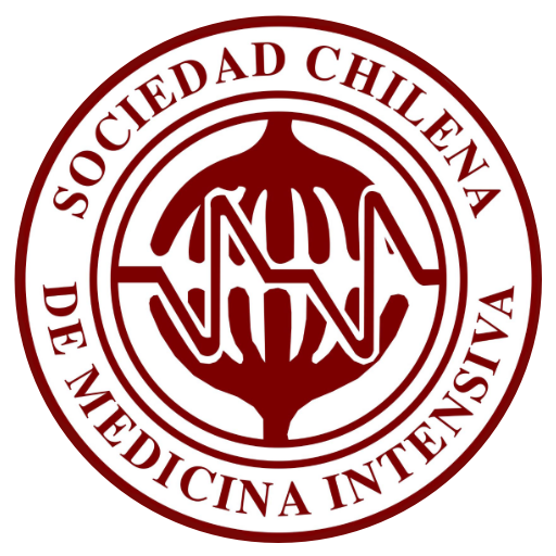 SOCHIMI logo