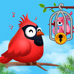 Cover Image of Download Bird Sort: Relaxing Puzzle  APK