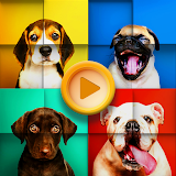 Cute Dogs Jigsaw Puzzles icon