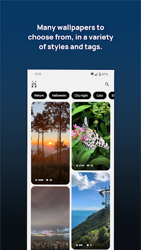 Android application Wallpanda screenshort