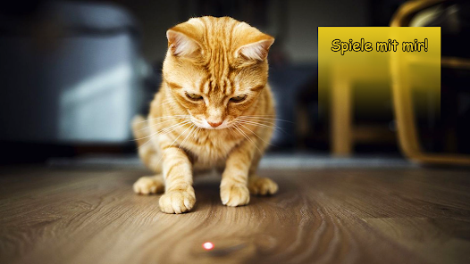 7in1 Laserpointer Beam Katze Hund Spielzeug Präsentation Strahl Referat Leuchten 