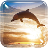 Dolphin Live Wallpaper HD Free icon