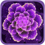 Purple Flower Live Wallpaper icon