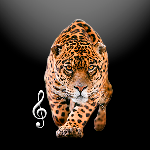 Animal sounds Ringtones - AppWisp.com