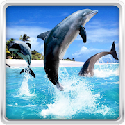 Dolphin HD Live Wallpaper 17.0 Icon