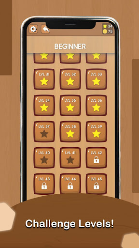 Block Escape : Silding Puzzle Screen 2