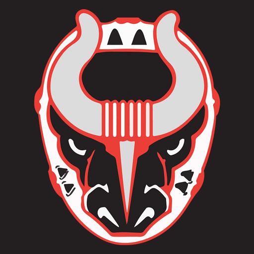 Birmingham Bulls Hockey 