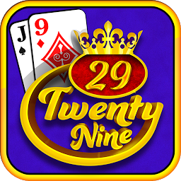 29 Card Game