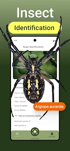 Insect Bug Identifier App