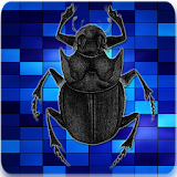 Entomology Insects Identific icon