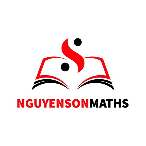 nguyensonmaths logo