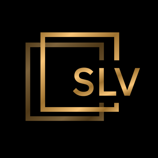 SLV сервис водителей 16.0.0-202404221754 Icon