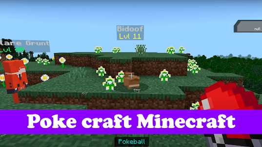 Pokecraft Game Minecraft Mod