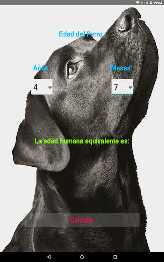 Perros Screen 3