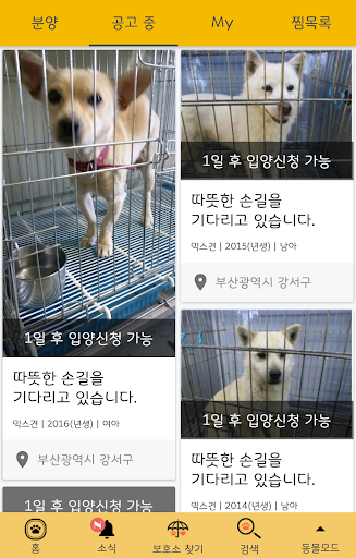 반동라-반려동물,고양이,강아지,유기견후원 Screen 2
