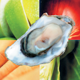 Oester2016 icon