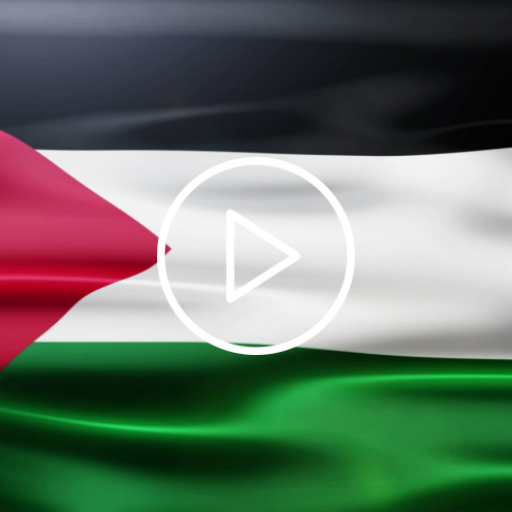 Palestine Flag Live Wallpaper Logo