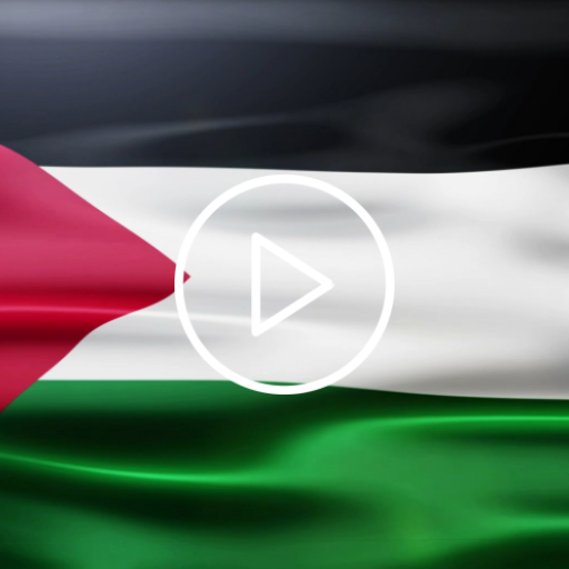 Palestine Flag Live Wallpaper