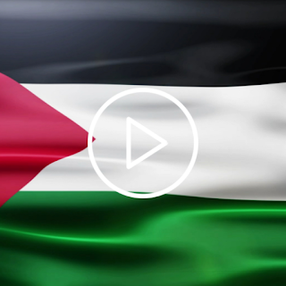 Palestine Flag Live Wallpaper apk