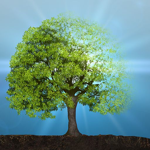 Idle Plant 3D Terrarium Garden Idle  Tap Plant